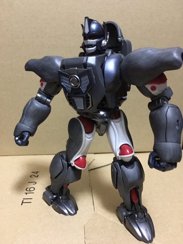 MP 32 Masterpiece Optimus Primal   In Hand Photos Surface On Twitter  (53 of 81)